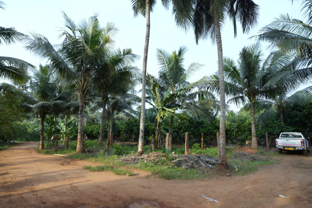 Residential campus facilities